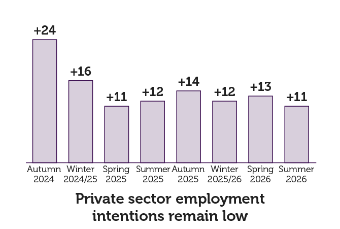 private sector employment intentions